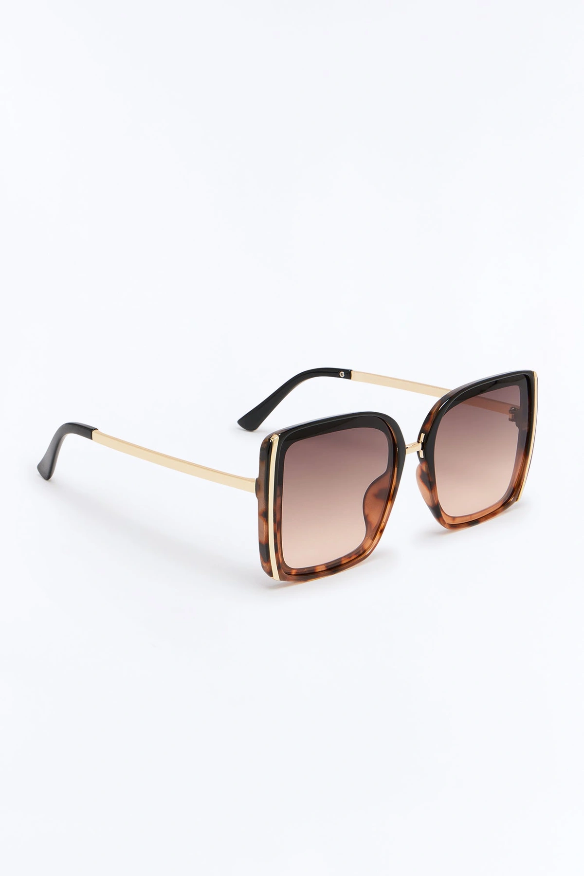 Seasonless Sunglasses - Tortoise — Tortoise