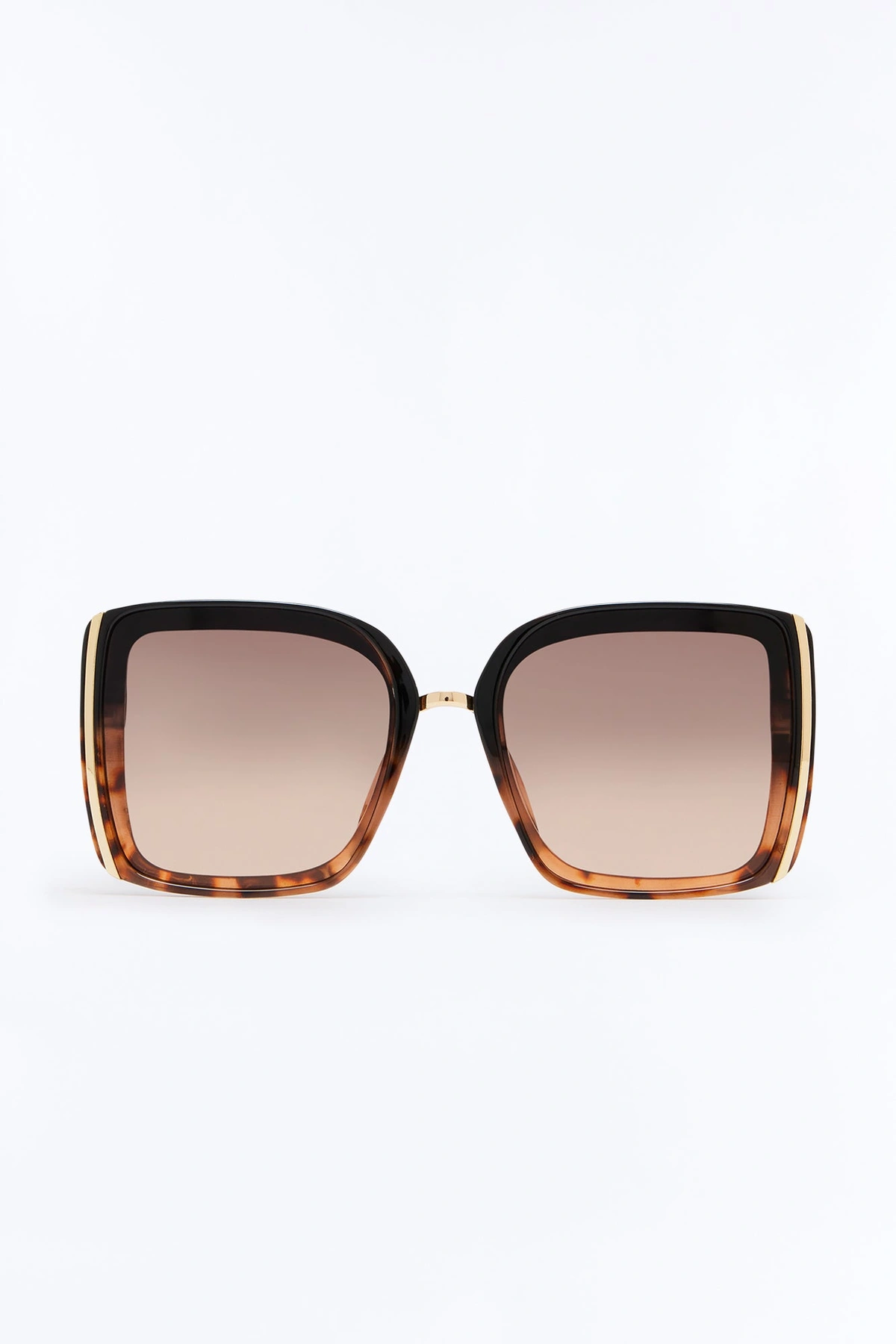 Seasonless Sunglasses - Tortoise — Tortoise