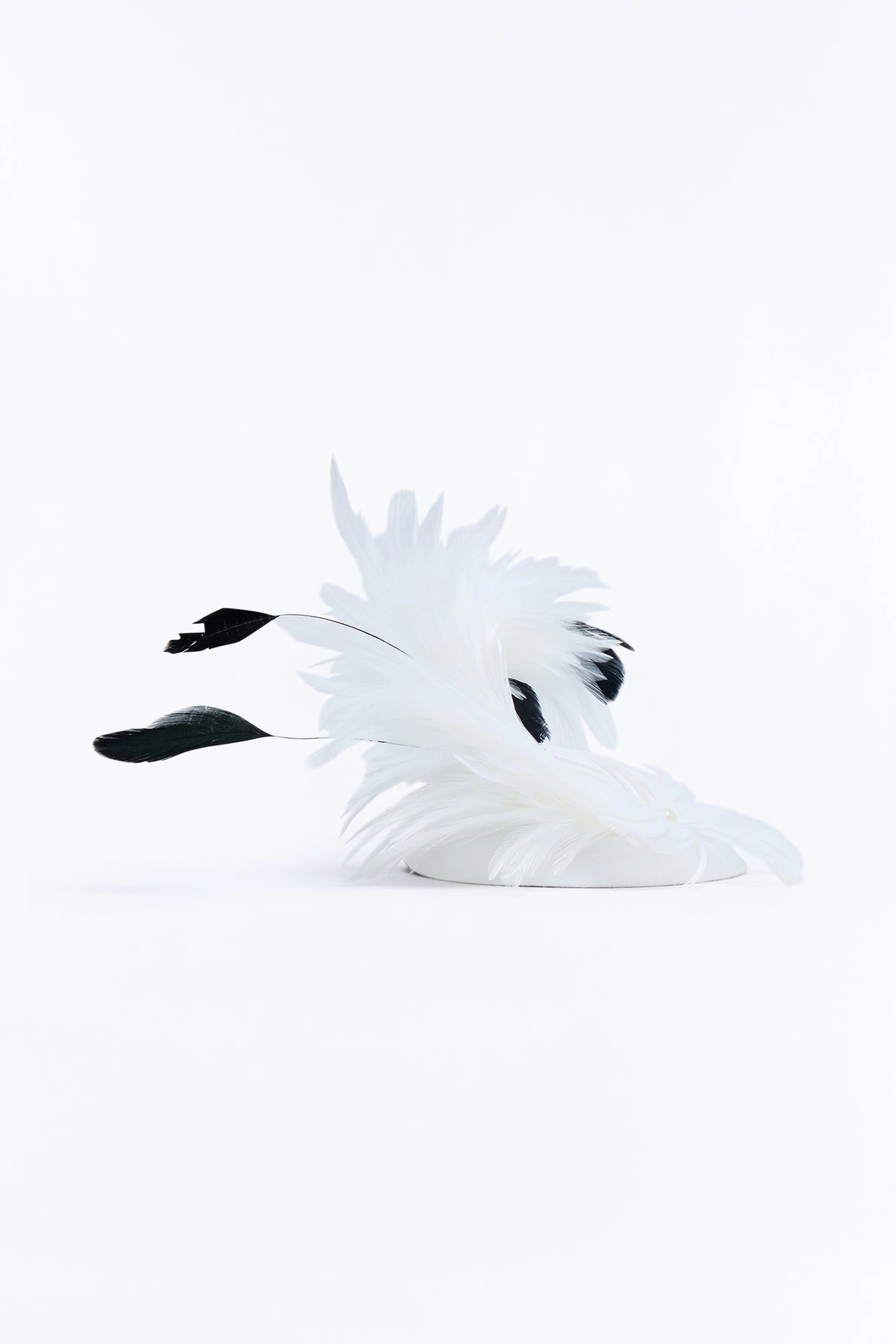 Main Act Fascinator - White — Branco