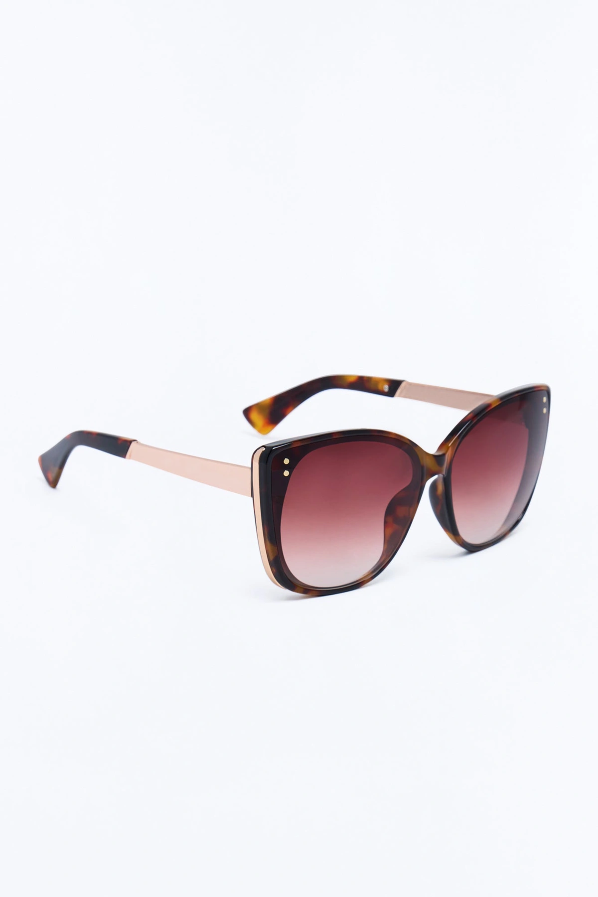 Above The Horizon Sunglasses - Tortoise — Tortoise