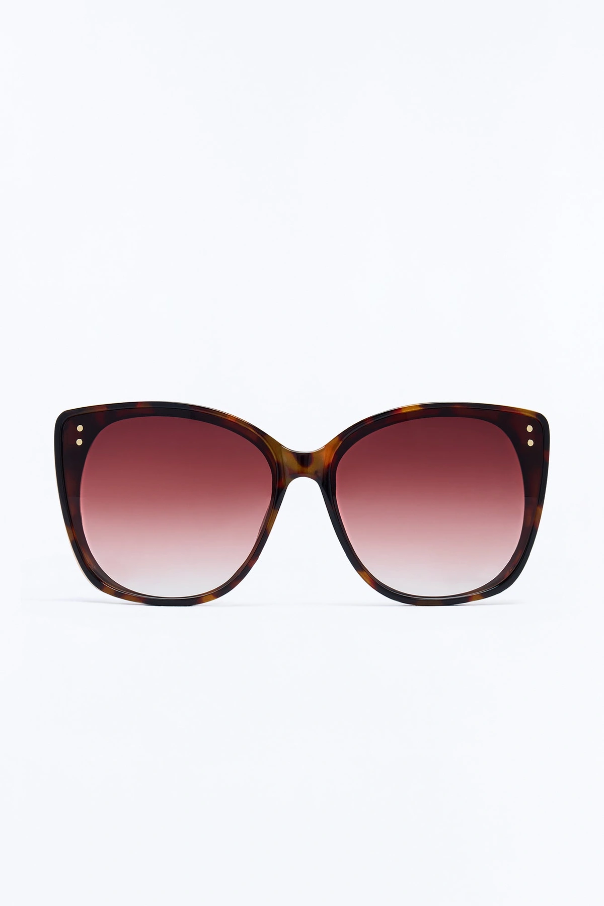 Above The Horizon Sunglasses - Tortoise — Tortoise